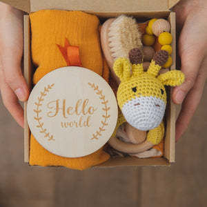 Baby Welcome to the World Gift Set